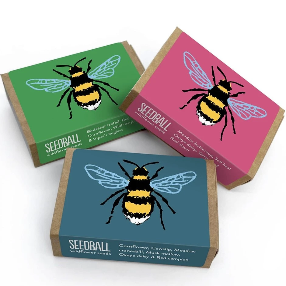 Seedballs Bee Matchboxes 1 Seedballs Bee Matchboxes