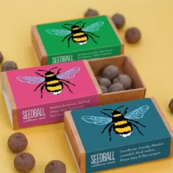 Seedballs Bee Matchboxes 12 Seedballs Bee Matchboxes -Stoneware Store pl2000048431 card5 lg