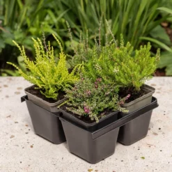 Heather Collection (4 Mixed Heathers) -Stoneware Store pl2000048439 card3 lg