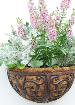 Cast Iron Wall Manger -Stoneware Store pr2000004969 card3 lg