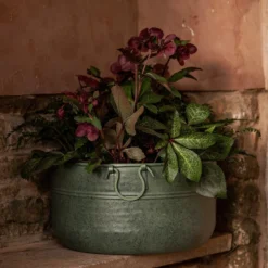 Verdigris Plant Bowl/drink Bucket 10 Verdigris Plant Bowl/drink Bucket -Stoneware Store pr2000016191 card4 lg