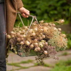 Planting Tray / Trug -Stoneware Store pr2000028415 card7 lg