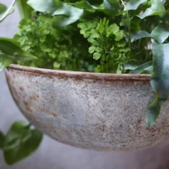 Stoneware Store -Stoneware Store pr2000031843 card2 lg