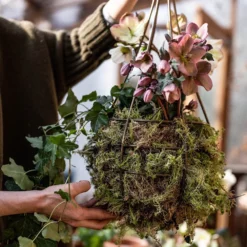 Hanging Tear Drop Basket - Slim 7 Hanging Tear Drop Basket - Slim -Stoneware Store pr2000033990 card3 lg