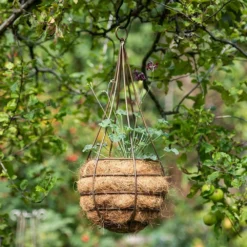 Hanging Tear Drop Basket - Slim 8 Hanging Tear Drop Basket - Slim -Stoneware Store pr2000033990 card4 lg
