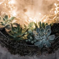 Hanging Wreath Basket -Stoneware Store pr2000033995 card3 lg