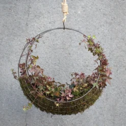 Hanging Wreath Basket -Stoneware Store pr2000033995 card6 lg