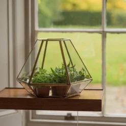 Terrarium With Brass Base Tray 9 Terrarium With Brass Base Tray -Stoneware Store pr2000034059 card3 lg