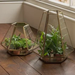 Terrarium With Brass Base Tray 12 Terrarium With Brass Base Tray -Stoneware Store pr2000034059 card6 lg
