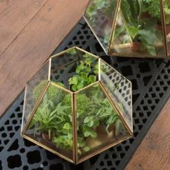 Terrarium With Brass Base Tray 13 Terrarium With Brass Base Tray -Stoneware Store pr2000034059 card7 lg