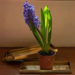 Brass Trays / Shelves - Set Of 4 -Stoneware Store pr2000041737 card4 lg