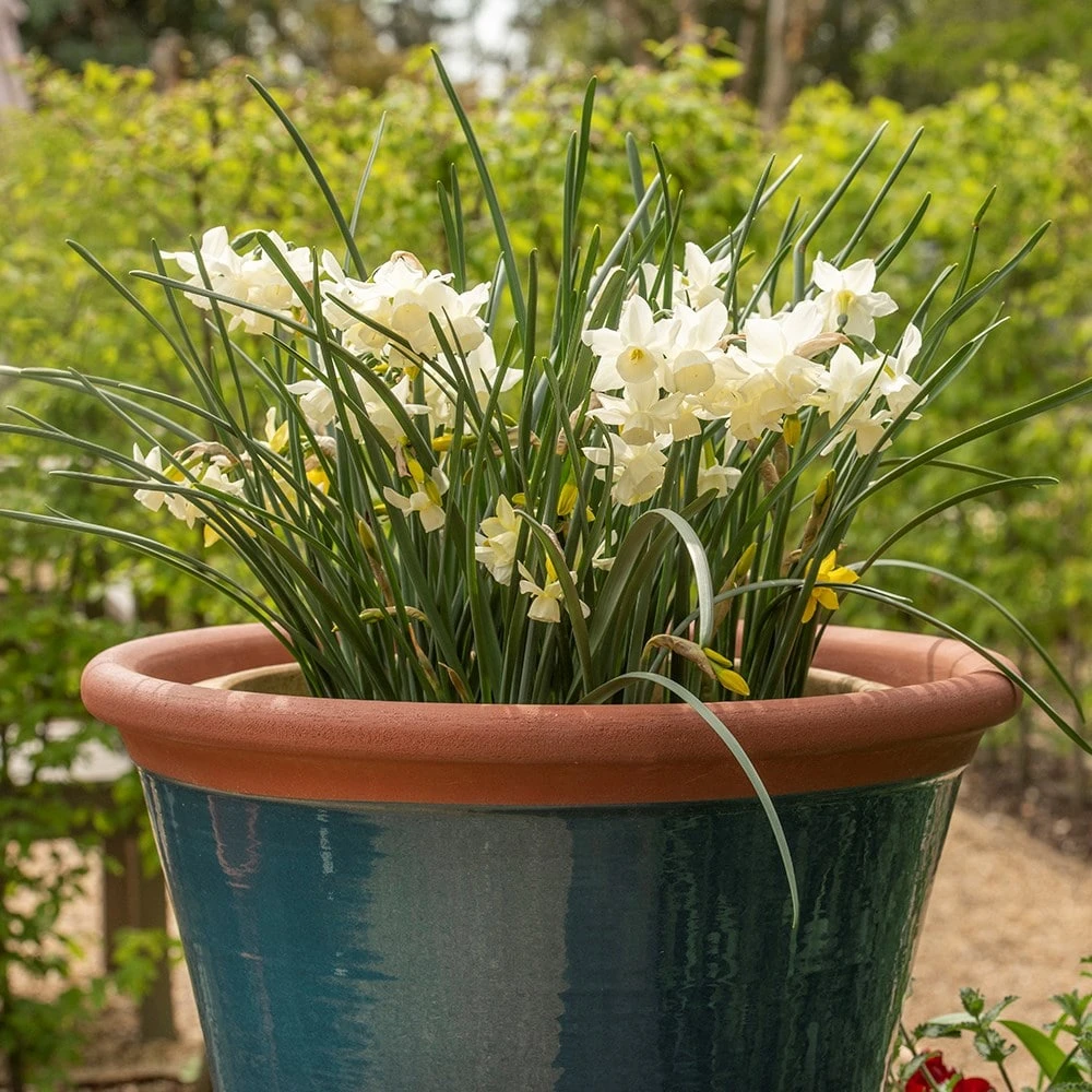 Dark Teal Kitchen Planter 3 Dark Teal Kitchen Planter - Image 3