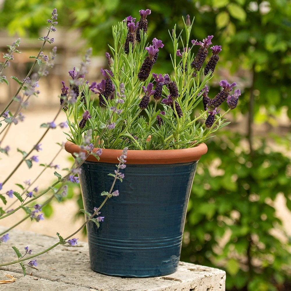 Dark Teal Kitchen Planter 6 Dark Teal Kitchen Planter - Image 6