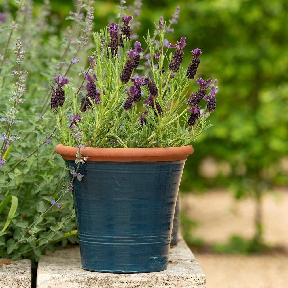 Dark Teal Kitchen Planter 7 Dark Teal Kitchen Planter - Image 7