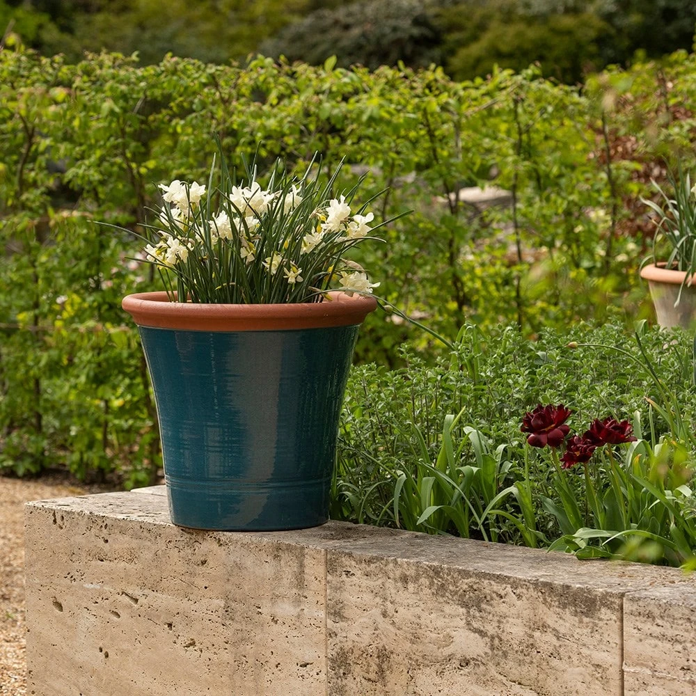 Dark Teal Kitchen Planter 8 Dark Teal Kitchen Planter - Image 8