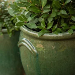 Glazed Terracotta Tulip Pot - Misty Green -Stoneware Store pr2000046304 card5 lg