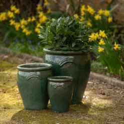 Glazed Terracotta Tulip Pot - Misty Green -Stoneware Store pr2000046304 card6 lg