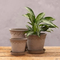 Scalloped Tapered Plant Pot With Saucer - Grey Terracotta